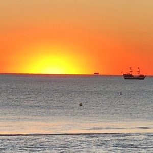 Meet your Posher, Ella